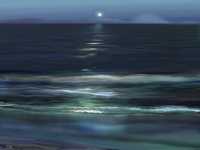 Moon & Surf