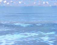Off Shore