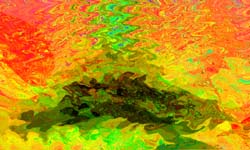 Digital Gumbo
