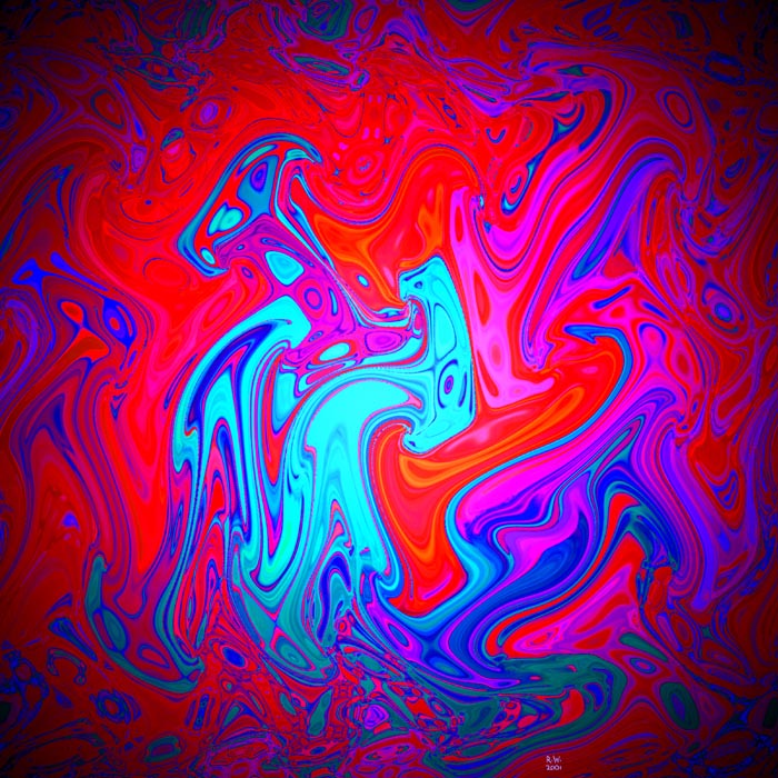 Morphing Bird