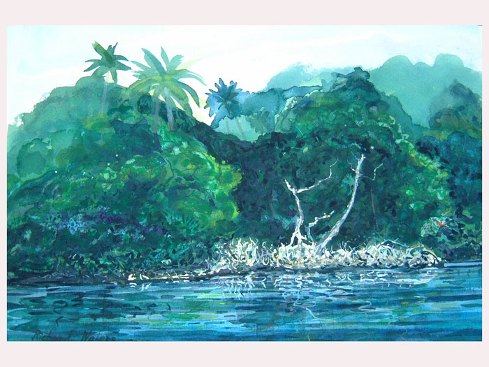 Mangrove
