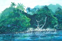 Mangrove