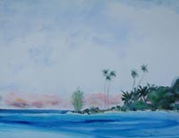 Ironwood Palms