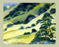 California Valley 