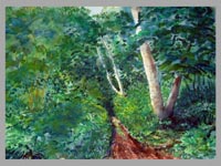 Disappearing Road