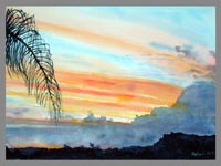 Palm Leaf & Sunset