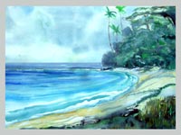 View in the Tropics